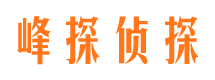 辰溪找人公司